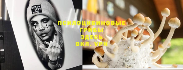 соль ск Верхнеуральск