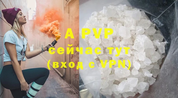 крисы Верея