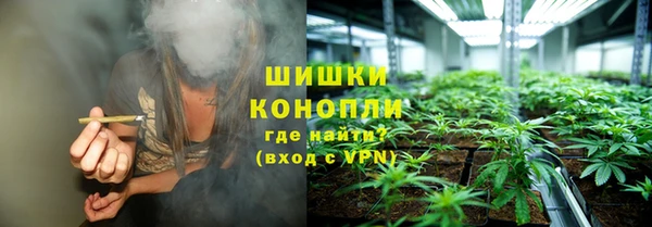 крисы Верея