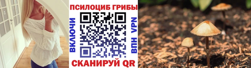 Псилоцибиновые грибы MAGIC MUSHROOMS  закладка  Карабаш 